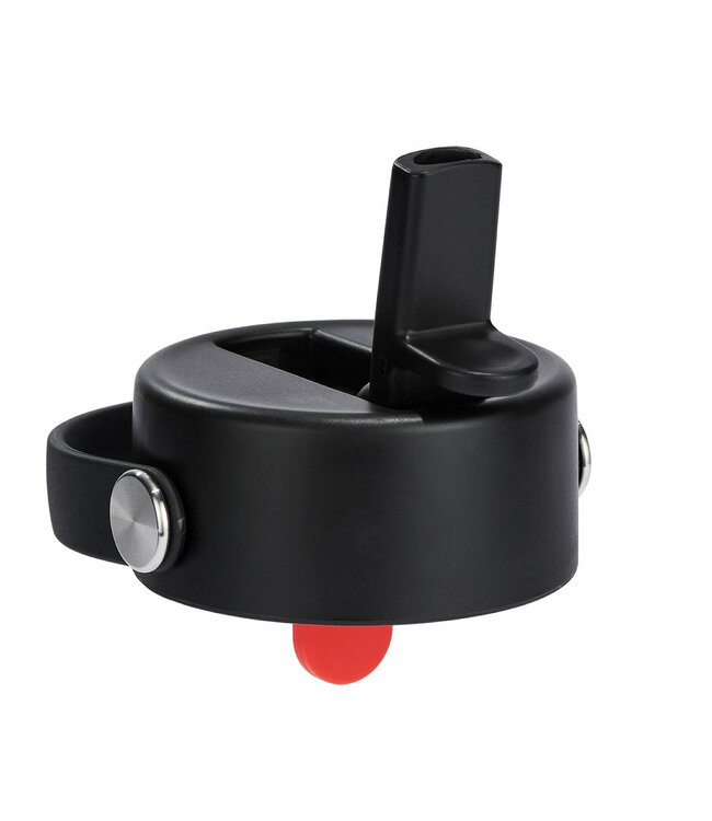 Hydro Flask 24 oz Wide Flex Straw Cap