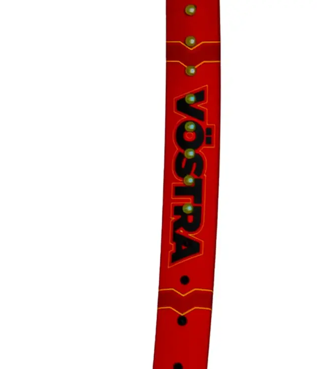 Volkl Vostra V8 315g