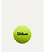 Wilson Premier Padel Yellow 3 Ball CASE