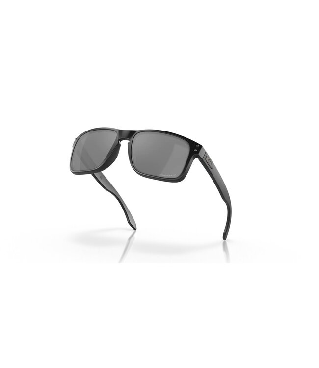 Oakley Holbrook Matte Black w/ Prizm Black Polar