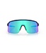 Oakley Sutro Lite Matte