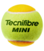 Tecnifibre Stage 2 Orange Case - Bag of 36