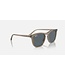 Rayban Transparent Brown w/Blue
