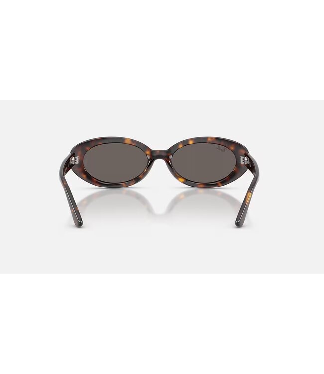 Rayban Havana w/Dark Grey