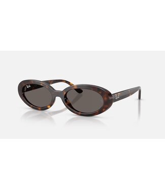 Rayban Havana w/Dark Grey