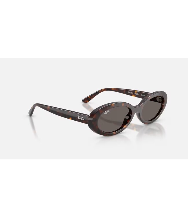 Rayban Havana w/Dark Grey