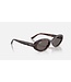 Rayban Havana w/Dark Grey
