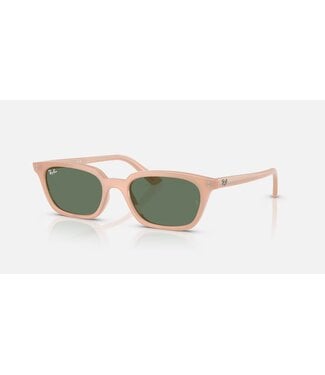 Rayban Zaya Cloudy Natural Pink w/Dark Green