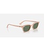 Rayban Zaya Cloudy Natural Pink w/Dark Green