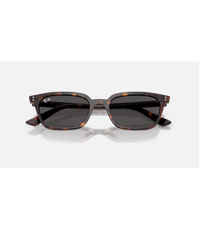 Rayban Zaya Havana w/Dark Grey