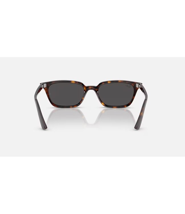 Rayban Zaya Havana w/Dark Grey