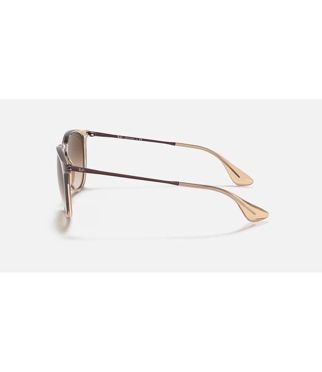 Rayban Erika Transparent Light Brown w/Brown Gradient