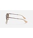 Rayban Erika Transparent Light Brown w/Brown Gradient