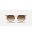 Rayban Erika Transparent Light Brown w/Brown Gradient