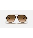 Rayban Cats 5000 Light Havana w/Clear Gradient Brown