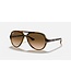Rayban Cats 5000 Light Havana w/Clear Gradient Brown