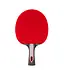 Joola Red Carbon Pro