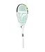 Tecnifibre Slash 120 Power