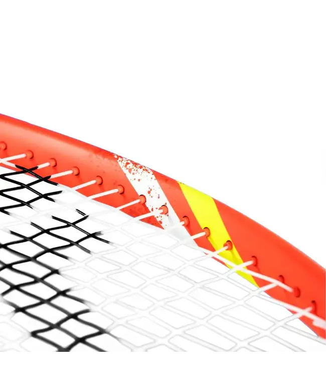 Tecnifibre T-Fight IG 300s