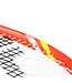 Tecnifibre T-Fight IG 300s
