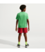 Nike Multi Big Kids' Dri-FIT Shorts Tough Red