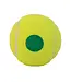 Volkl Team Ball 1 (Yellow/Green) 12 Pack Bag