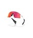 Oakley Stunt Devil Matte Clear w/Prizm Field