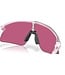 Oakley Stunt Devil Matte Clear w/Prizm Field