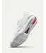 Wilson Rush Tour 5 CTC Bright White/Wilson Red M's