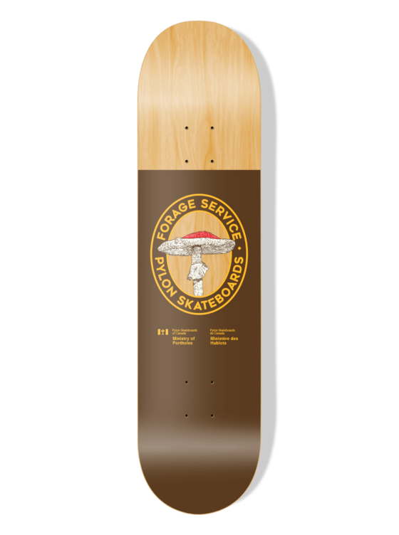 PYLON - S3 Boardshop