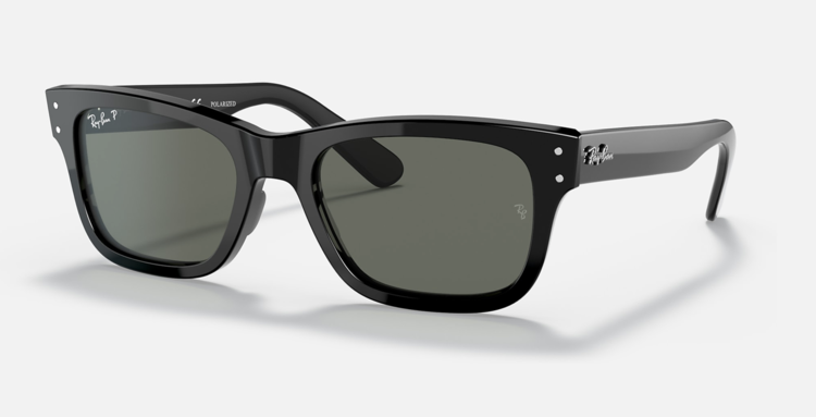 Ray Ban Ray Ban Mr Burbank Polished Black | G-15 Green Polarized