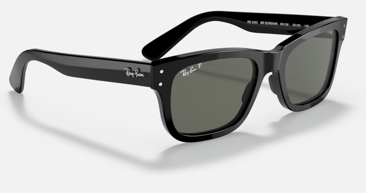 Ray Ban Ray Ban Mr Burbank Polished Black | G-15 Green Polarized