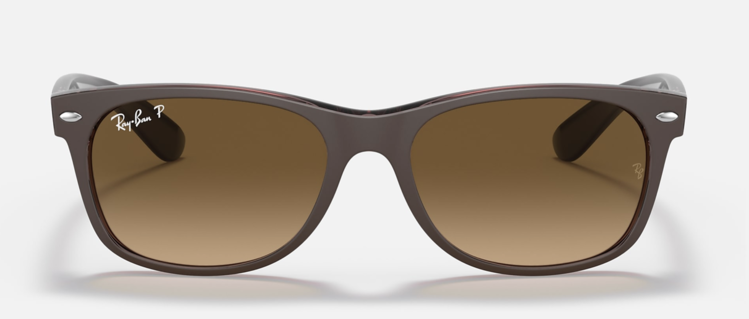 Ray Ban Ray Ban New Wayfarer Matte Brown 6608M255