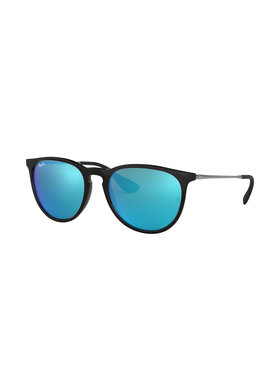 Ray Ban Ray Ban Erika Black | 601/55