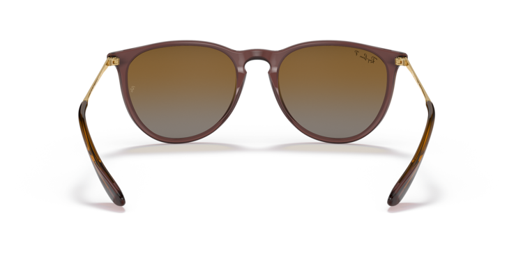 Ray Ban Ray Ban Erika Transparent Dark Brown | Brown Gradient Polarized