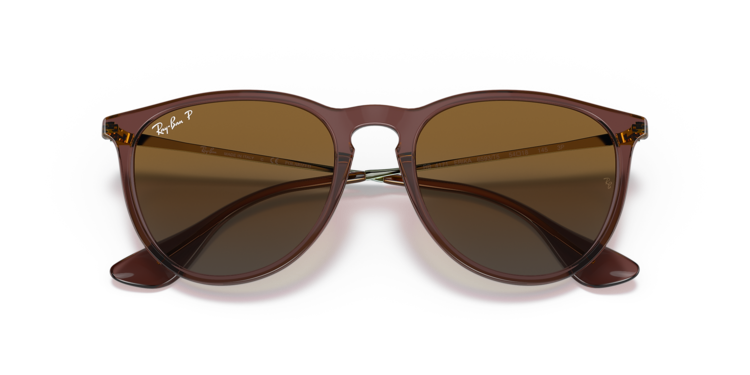 Ray Ban Ray Ban Erika Transparent Dark Brown | Brown Gradient Polarized