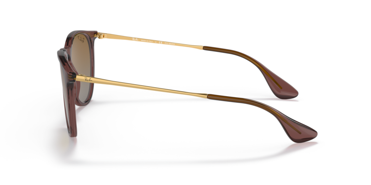 Ray Ban Ray Ban Erika Transparent Dark Brown | Brown Gradient Polarized