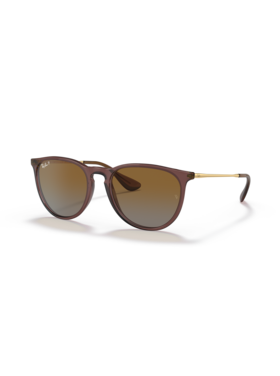 Ray Ban Ray Ban Erika Transparent Dark Brown | Brown Gradient Polarized