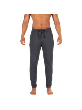 SAXX Saxx Snooze Pant | India Ink