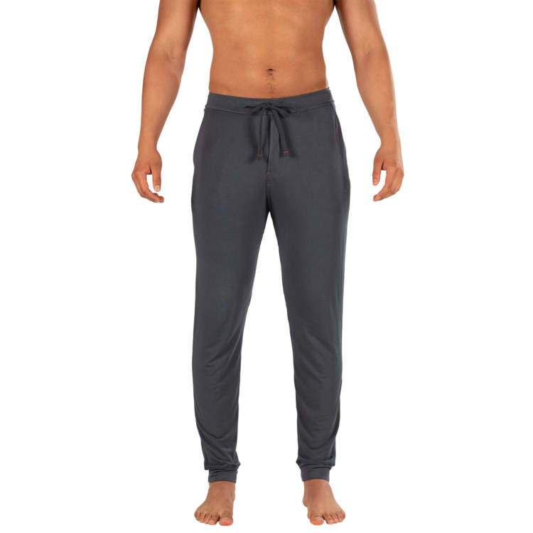 SAXX Saxx Snooze Pant | India Ink