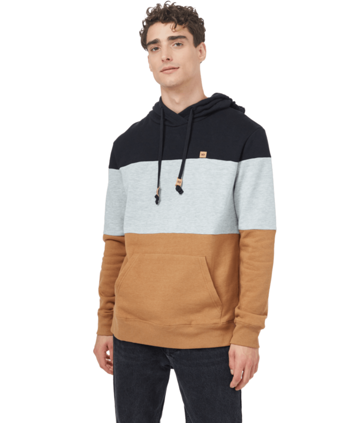 Tentree M Treefleece Blocked Reynard Hoodie | Meteorite Black/Hi