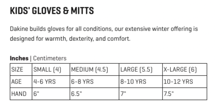 Dakine Dakine Kids Avenger Gore-Tex Mitt 2026 | Black