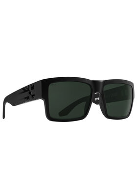 Spy Spy Cyrus Hawaii | Happy Gray Green Polar