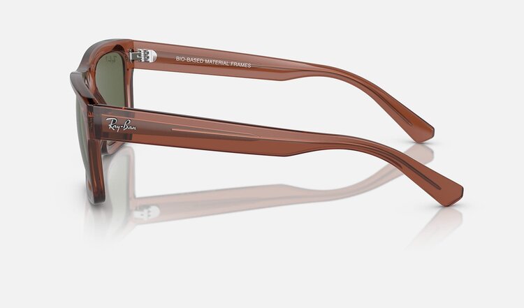 Ray Ban Ray Ban Warren Transparent Brown | 66789A