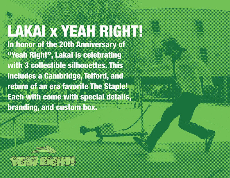 Lakai Lakai  Staple (Mens) | Black/Uv Green Suede