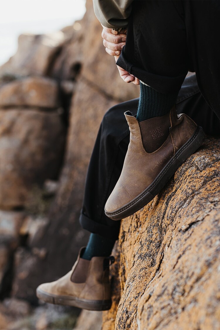 Globe Globe Dover Ii (Mens) | Dark Brown/Wasted Talent