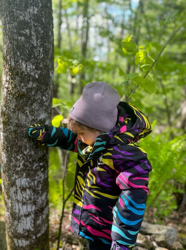 Burton Burton Toddler Classic 2L Jacket W24 | Safari