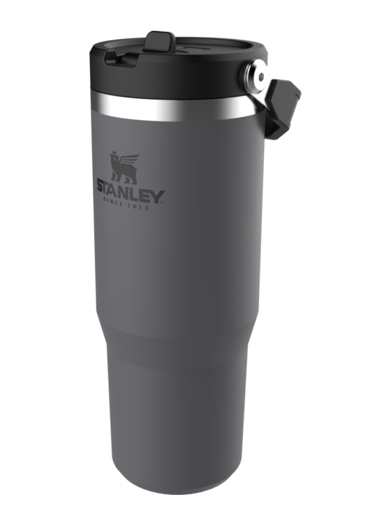 Stanley Quencher H2.0 FlowState Tumbler 30oz – GadgetsGalore