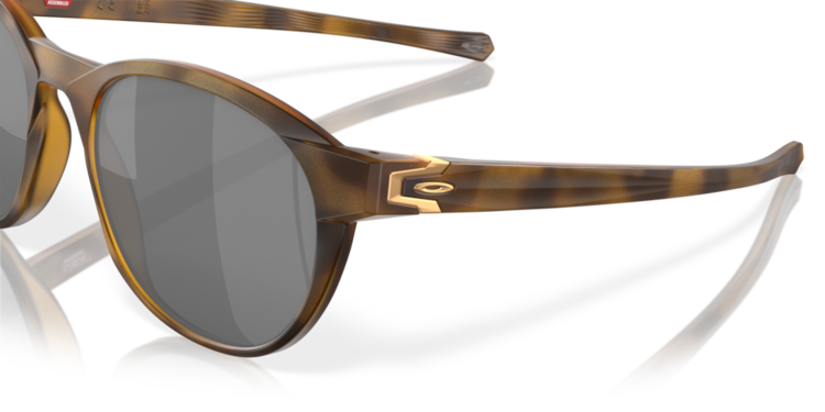 Oakley Oakley Reedmace Matte Brown Tortoise | Prizm Black