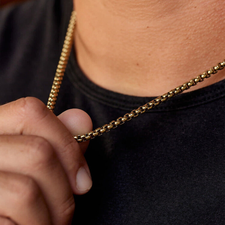 Pura Vida Pura Vida Mens Rolo Chain Necklace | Gold
